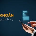 Điều khoản sử dụng