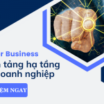 Cloud Server Business - Nền tảng hạ tầng máy chủ ảo tối ưu cho doanh nghiệp
