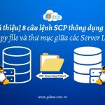 [Giới thiệu] 8 câu lệnh SCP thông dụng nhất
