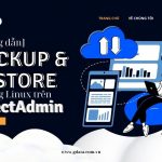 [Hướng dẫn] Cách Backup và Restore Hosting Linux DirectAdmin